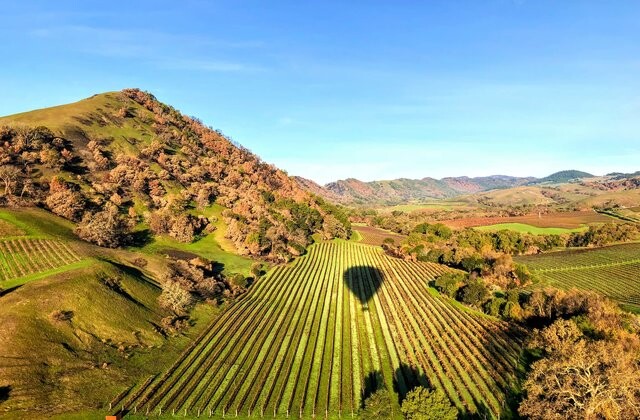 Napa Valley