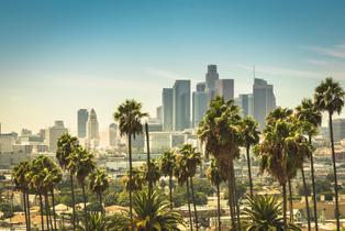 Los Angeles, a view of Los Angeles with trees and the city