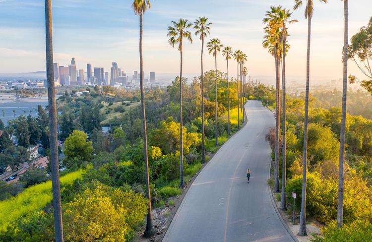 photo of a long road with palm trees with the LA skyline in the distance