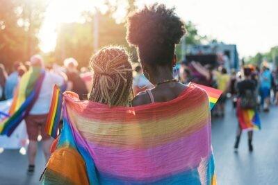 Rear view image of young gay couple walking with the pride event, hugging and waving pride flags